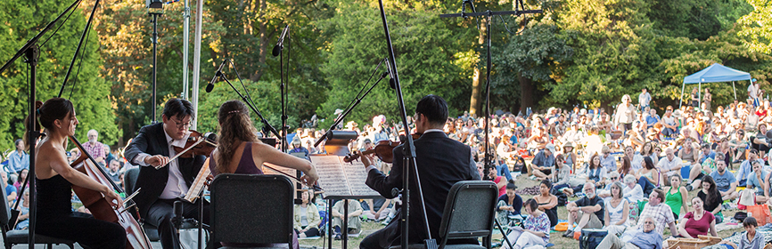 Chamber Music in the Park